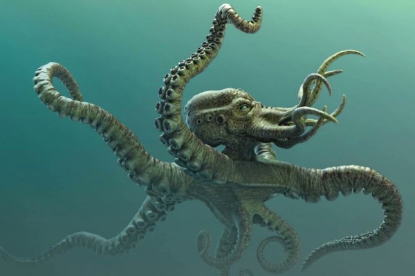 Kraken зеркала gigageek ru