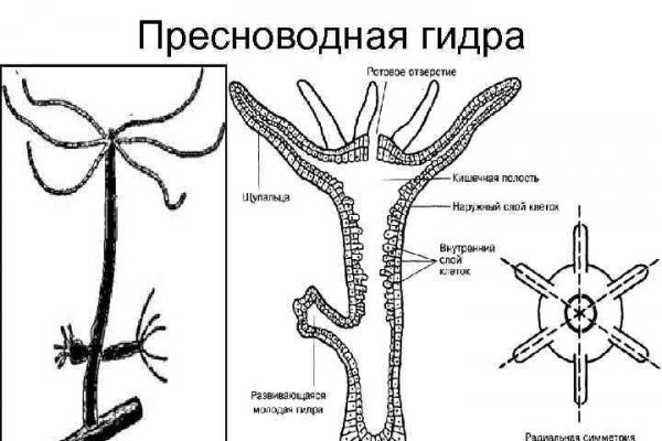 Кракен маркетплейс ссылка тг